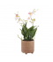 Artificial flower vase with ceramic base - 34 cm Artificial flower vase with ceramic base - 34 cm