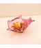 Elegant decorative plate - 33*18*14cm - 2M1M200735