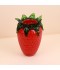 Unique Strawberry Vase - 22*22*32cm - 2M3A200446