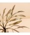 Modern Metal Decorative Piece - 41*40*46cm - 2M3D1900270A
