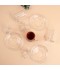 Clear Coffee and Tea Cup Set - 36 Pieces - 2S1TT200394