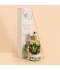 فواحة عطرية برائحة زهرة بيضاء (White Bloom ) بحجم 1000 مل - 2M28A200020