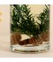 Lemongrass Scented Diffuser, 1000ml - 2M28A200021