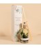 Lemongrass Scented Diffuser, 1000ml - 2M28A200021