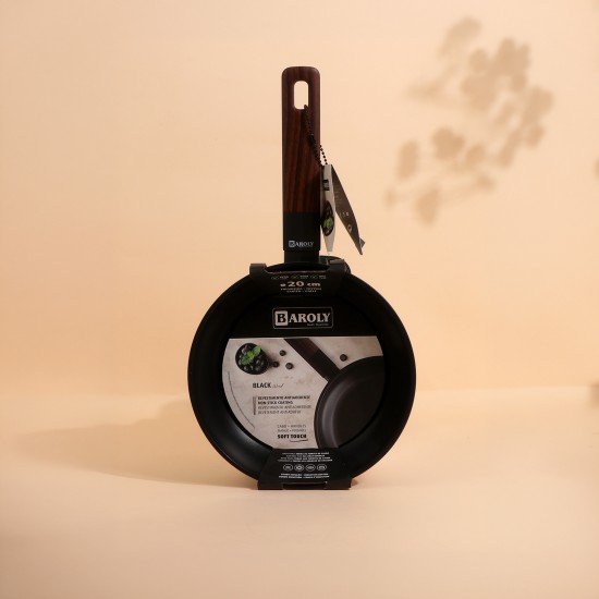 Paroli 20cm frying pan - 2S1A00332