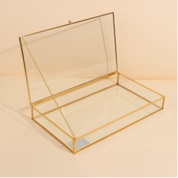 Uniquely designed glass storage box - Gold - 35×20×5 cm - 2M2F300047