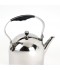 Luxury Stainless Steel Teapot 2.2L - 2M1U1100067