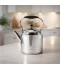Luxury Stainless Steel Teapot 1.4L - 2M1U1100068