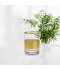 Luxury Juice Serving Glass with Gold Decoration - Elegant Model for Occasions - 2MM1-T33-012