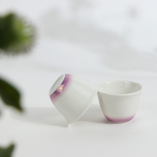 طقم شاي وقهوة فاخر بتصميم عصري 36 قطعة - 2SS1-T01-066