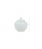 Classic Design Porcelain Sugar Box with Gold Touch, White - 2SS4-549