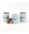 Modern Design Ceramic Spice Jar Set - 3 Pieces