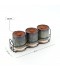 3-piece ceramic spice jar set with metal holder