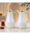 Luxury hospitality thermos set for coffee and tea - 1 liter + 1 liter capacity - 2G1BB200072
