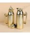 Uniquely designed coffee and tea thermos set - matte gold - 1 liter + 0.7 liter capacity - push-button - 2G1BB200168