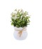 فازة ورد صناعي بقاعدة سيراميك ابيض - 2SS13-078 فازة ورد صناعي بقاعدة سيراميك ابيض - 2SS13-078