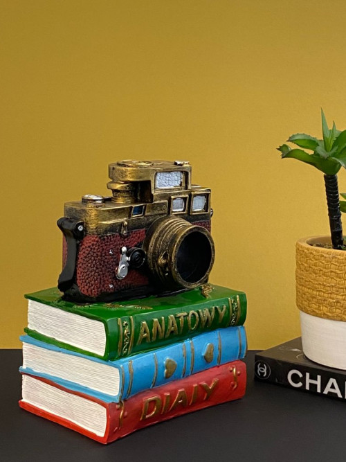 A masterpiece of a camera with decorative books for the beauty of your home