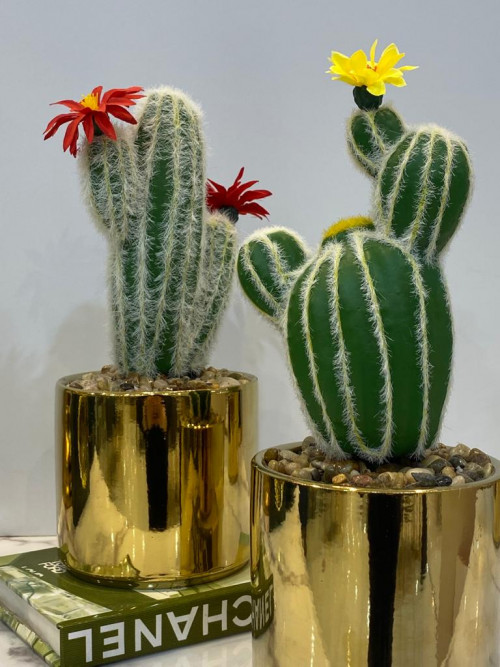 Ornamental cactus pot, golden pot