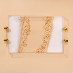 تبسي تقديم أكريليك مستطيل بتصميم أنيق- 2S1C300334